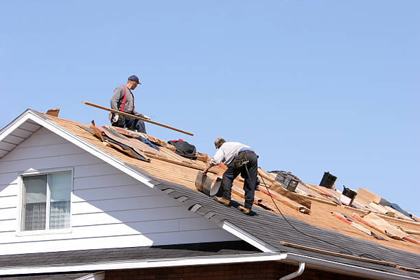 Best Gutter Installation and Repair  in Muldraugh, KY